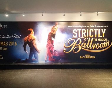 wall graphics and wall murals and feature walls